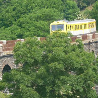 Arrivée du Train Gentiane